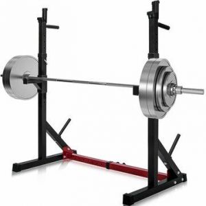 SHAMMA  SHOP SPORTS EQUIPMENT [US Direct] Dipping Station 43.5~67.5inch High 13 Levels Adjustable Weight Lifting Bench Barbell Stand Fitness Gym Home 550 Pound 